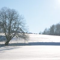 DSC_1681 